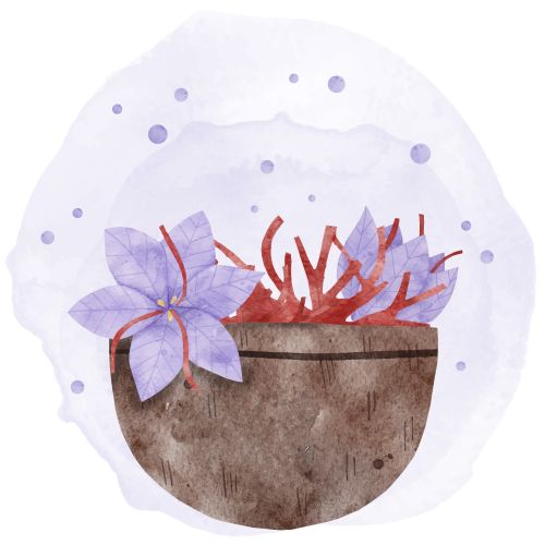 Asesoramiento <br />nutricional Imagen Asesoramiento <br />nutricional