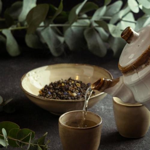 5. Reuniones de apoyo 5. Reuniones de apoyo