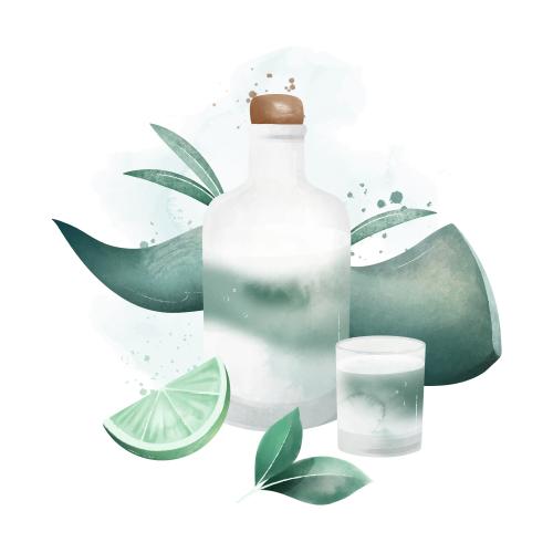 ¿Cuántas veces hay que comer al día? ¿Y del consumo de agua, cuantos litros? ¿Cuántas veces hay que comer al día? ¿Y del consumo de agua, cuantos litros?